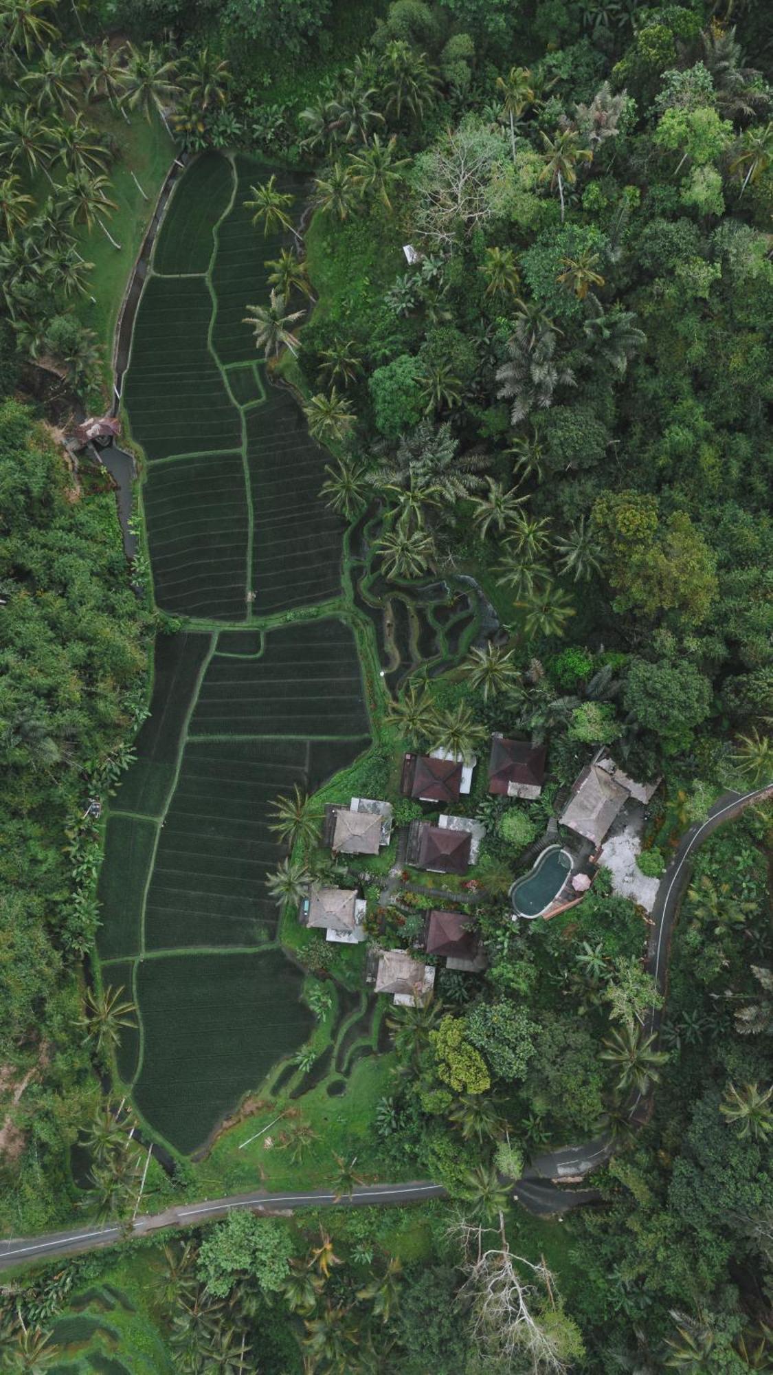 Tirta Sari Villa Tampaksiring Exterior foto